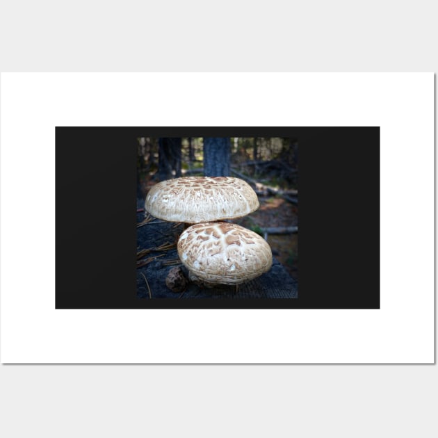 Mushrooms Wall Art by Rebekah Slick